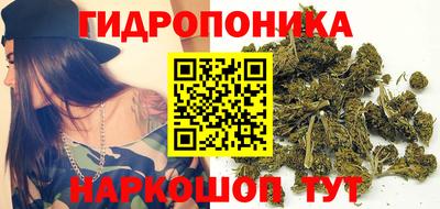 дмт Заволжье