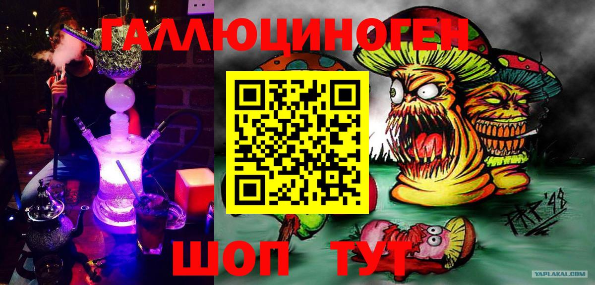 Псилоцибиновые грибы мицелий Волхов