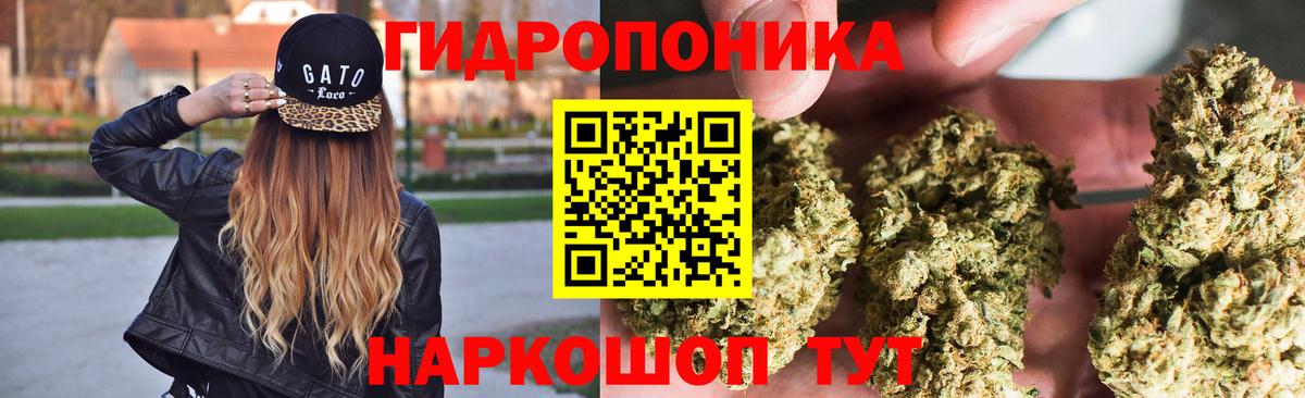 Бошки Шишки план Волхов